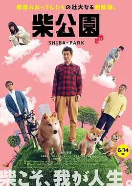 成人免费公开视频